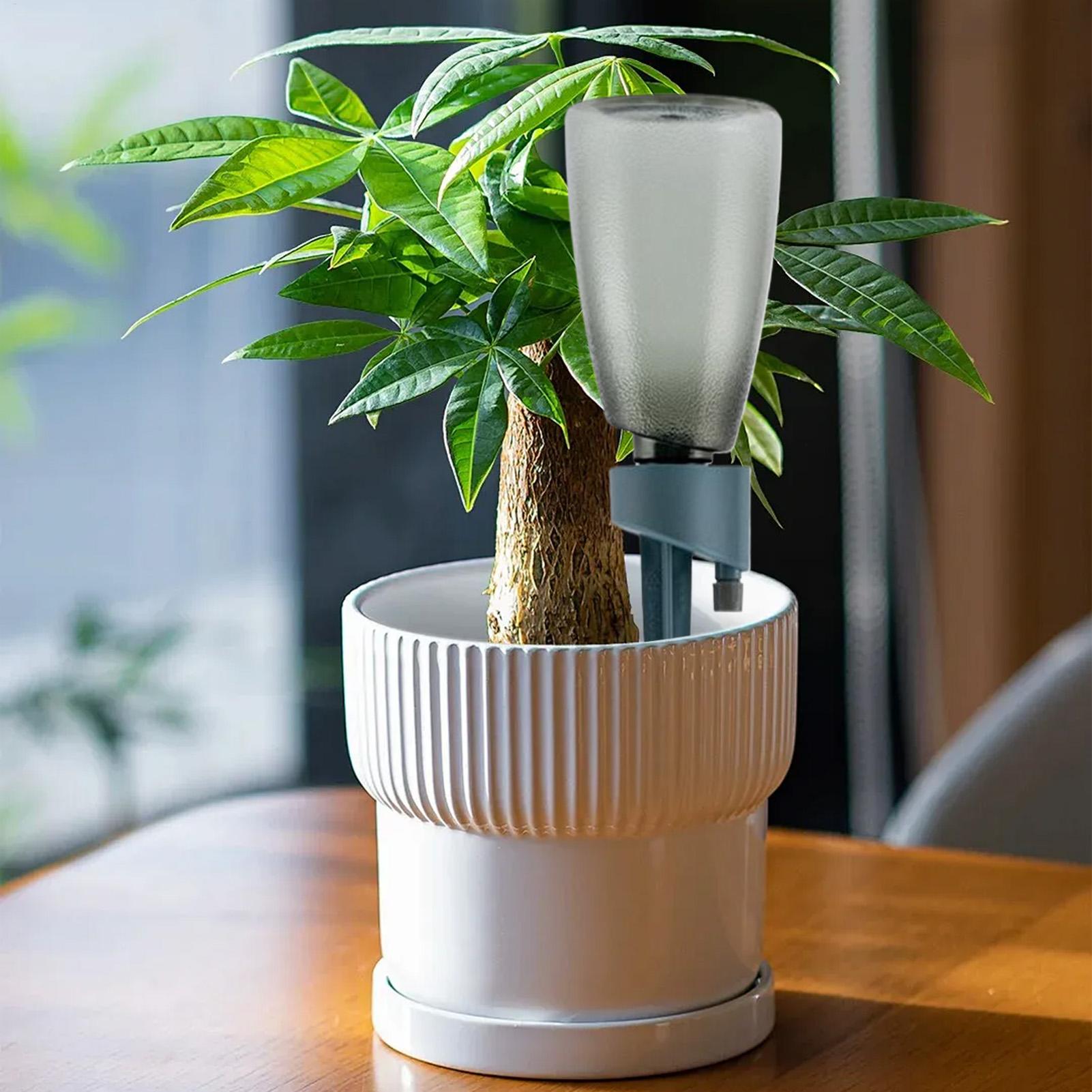6pcs Automatic Waterer Househo - огляд і ціна Self Watering Insert