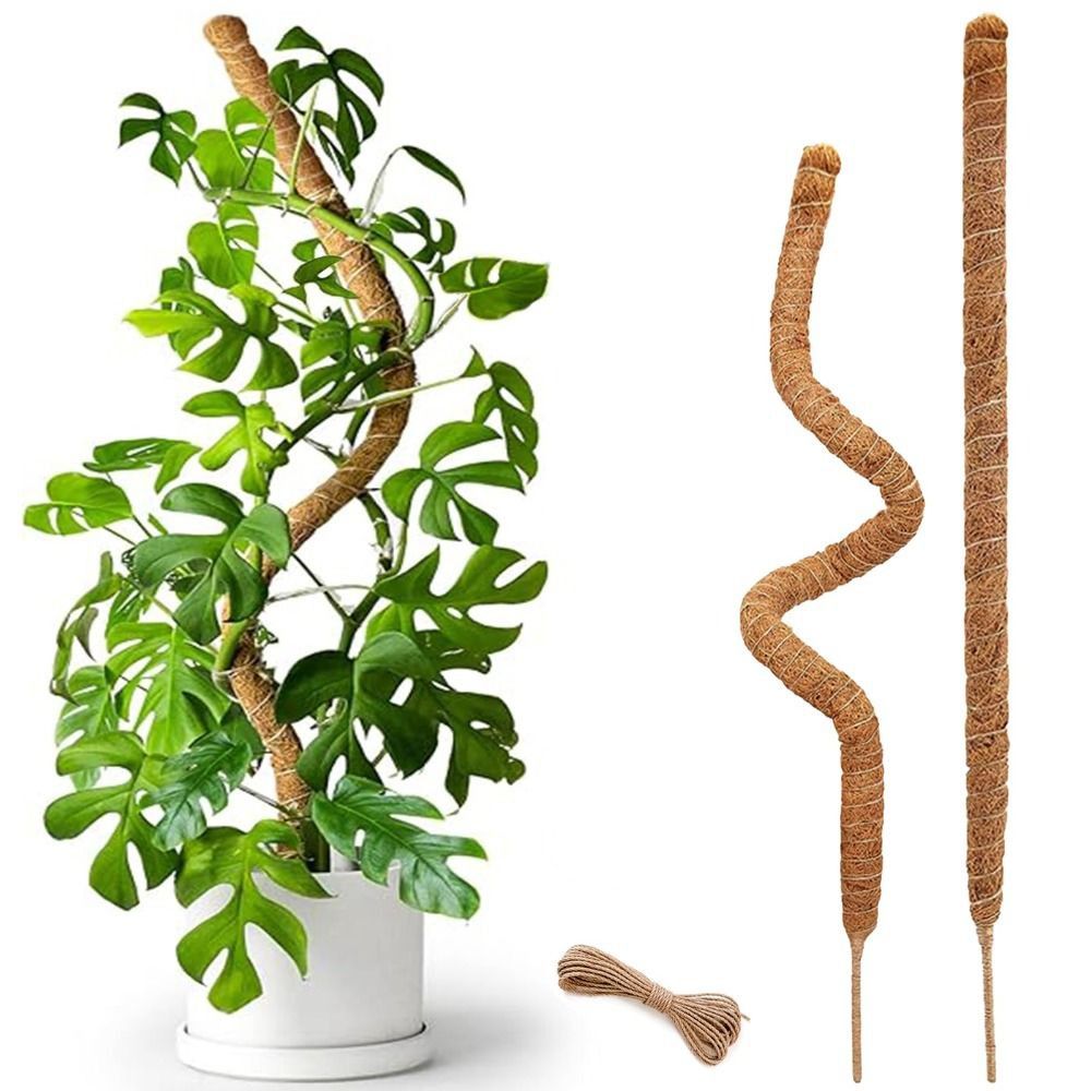 Plant Support Bendable Moss Po - огляд і ціна Sphagnum Moss Dry