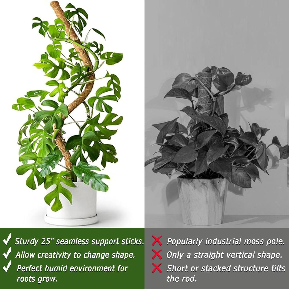 Plant Support Bendable Moss Po - огляд і ціна Sphagnum Moss Dry