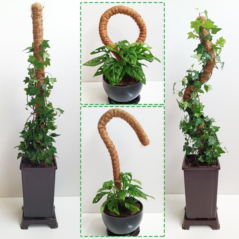 Plant Support Bendable Moss Po - огляд і ціна Sphagnum Moss Dry