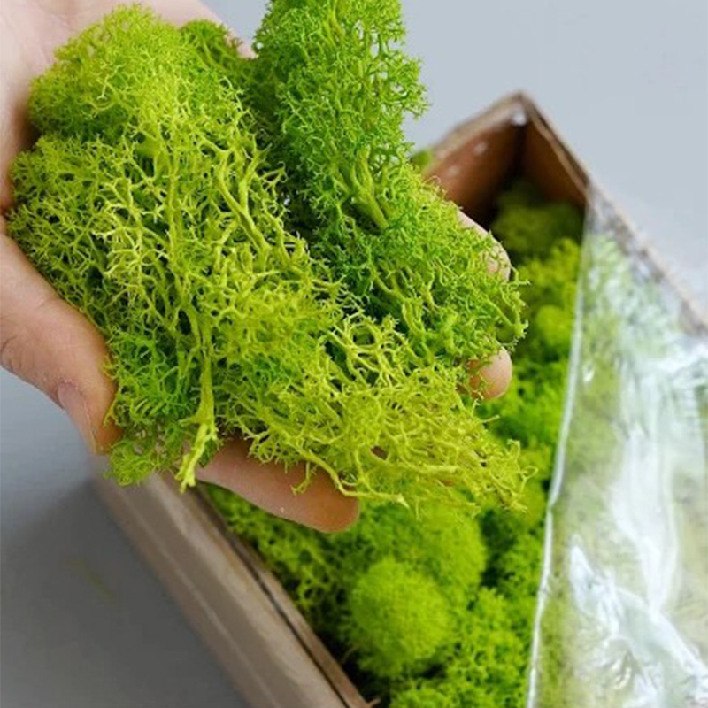 20g Artificial Green Moss Plan - огляд і ціна Sphagnum Moss Dry